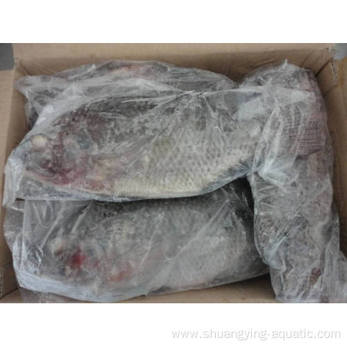 Gutted And Scaled Iqf Ivp Black Tilapia 600-900g